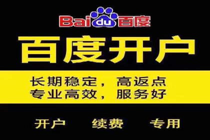 谷歌竞价广告与SEO结合的营销案例解析
